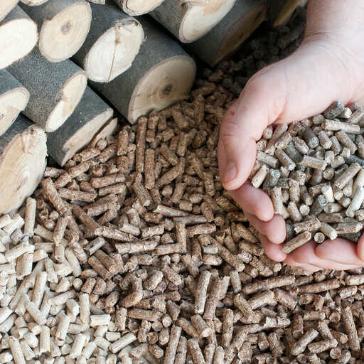 Holzpellets